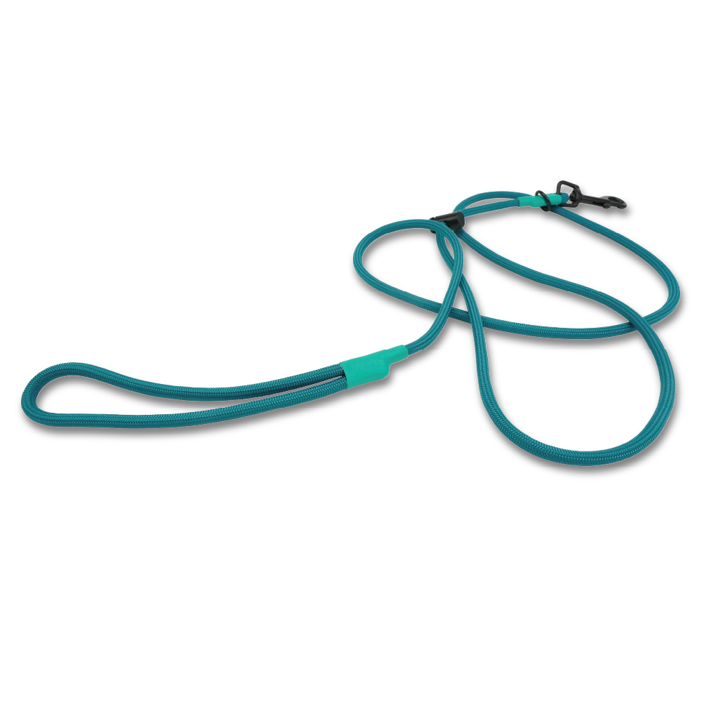 New Leash - Teal