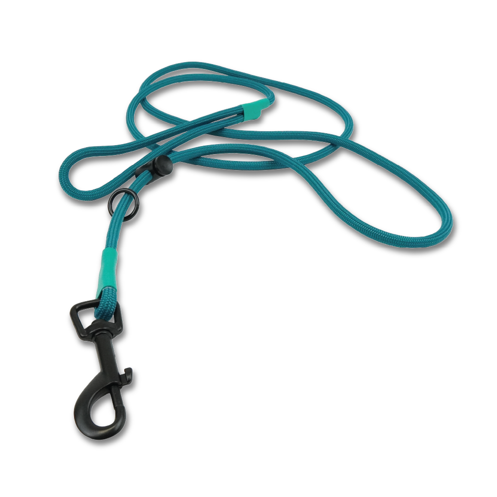 New Leash - Teal