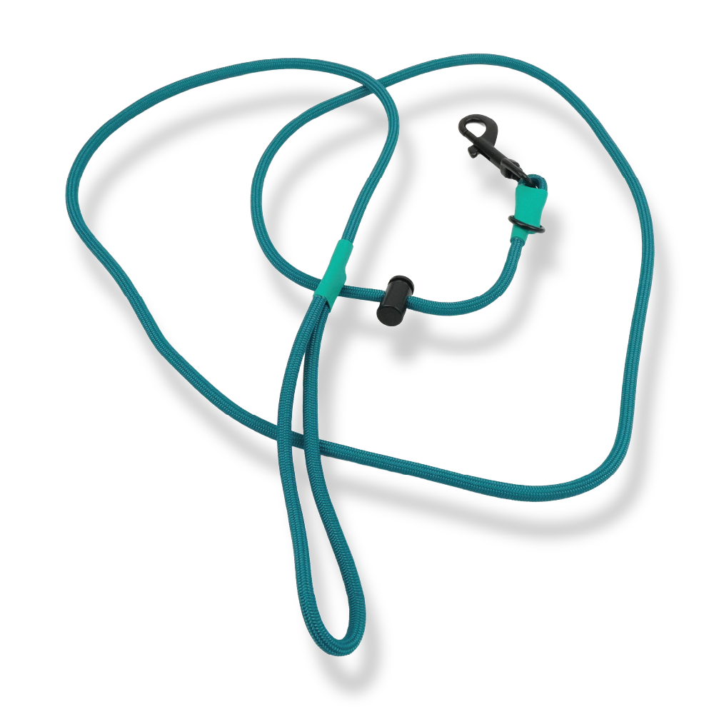 New Leash - Teal