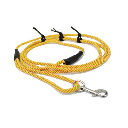The Leash - Yellow