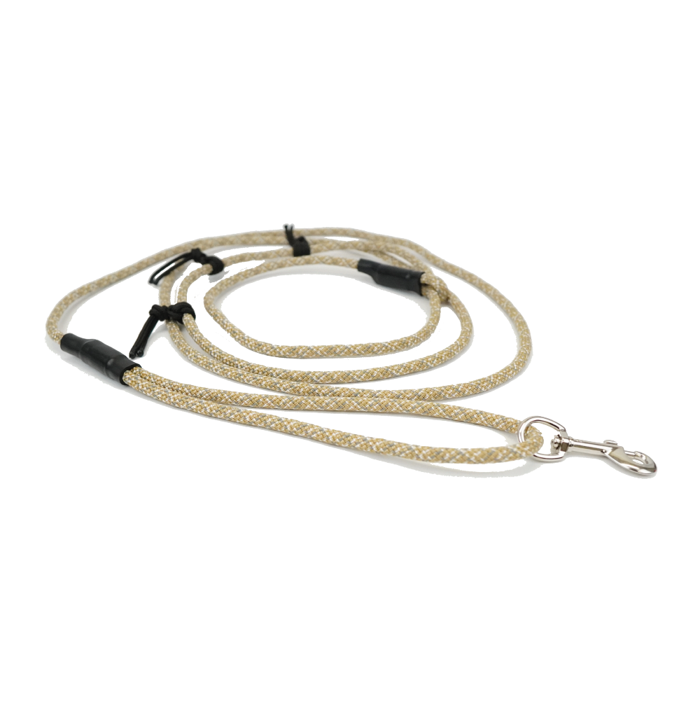 The Leash - Tan